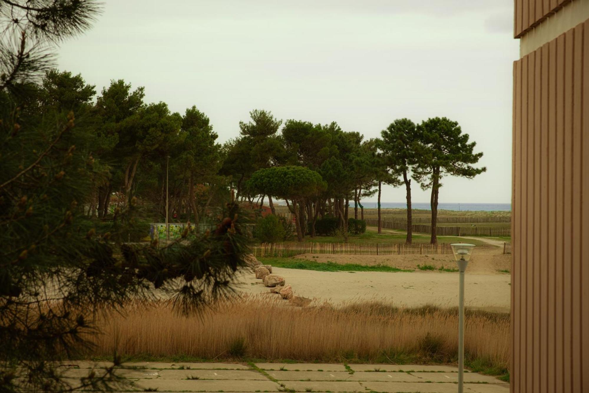 Magnifique Appartement De Type Loft En Front De Mer Avec Vue, Parking Et Wifi Argelès-sur-Mer Extérieur photo
